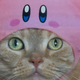 Illustration for article titled iKirby /iHats Kirbify Your Cats